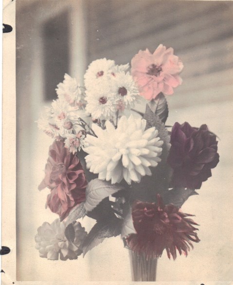 Lewis Reed hand colored photo