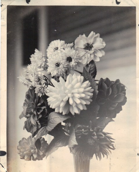 Lewis Reed hand colored photo