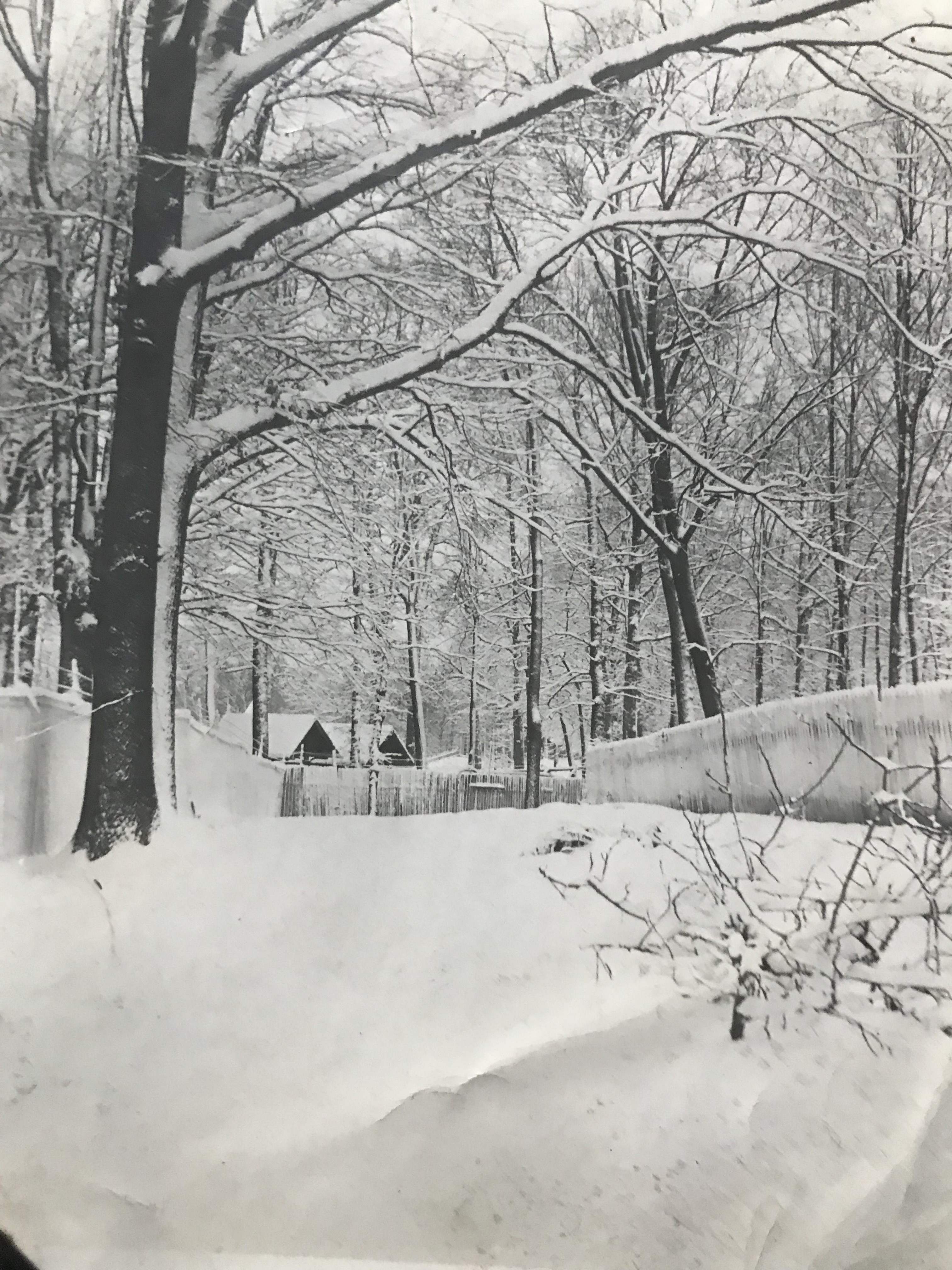 Montgomery County Fairgrounds in the snow. 