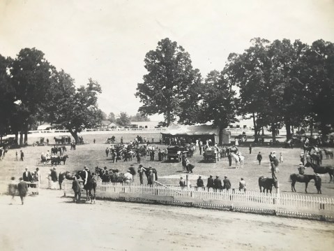 Rockville Fairgrounds Harness Races 1910 