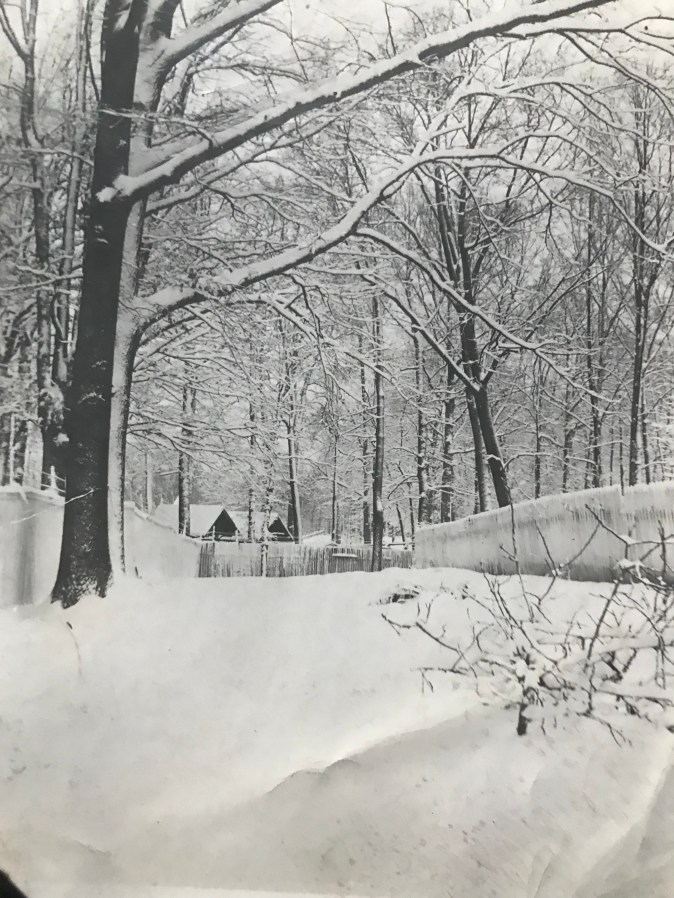 Montgomery County Fairgrounds 1910