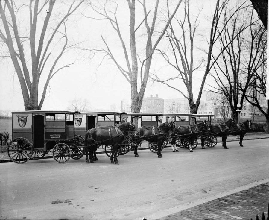 Chevy Chase Dairy delivery wagons, circa 1918-28.