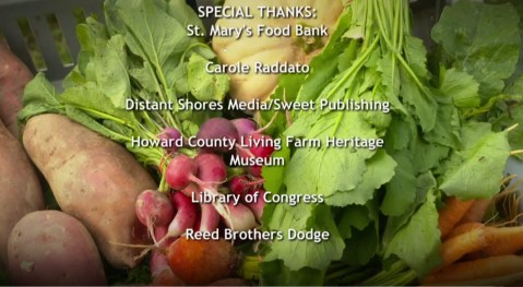 Maryland Farm & Harvest