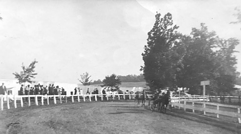 1910 Rockville Fair Harness Race 