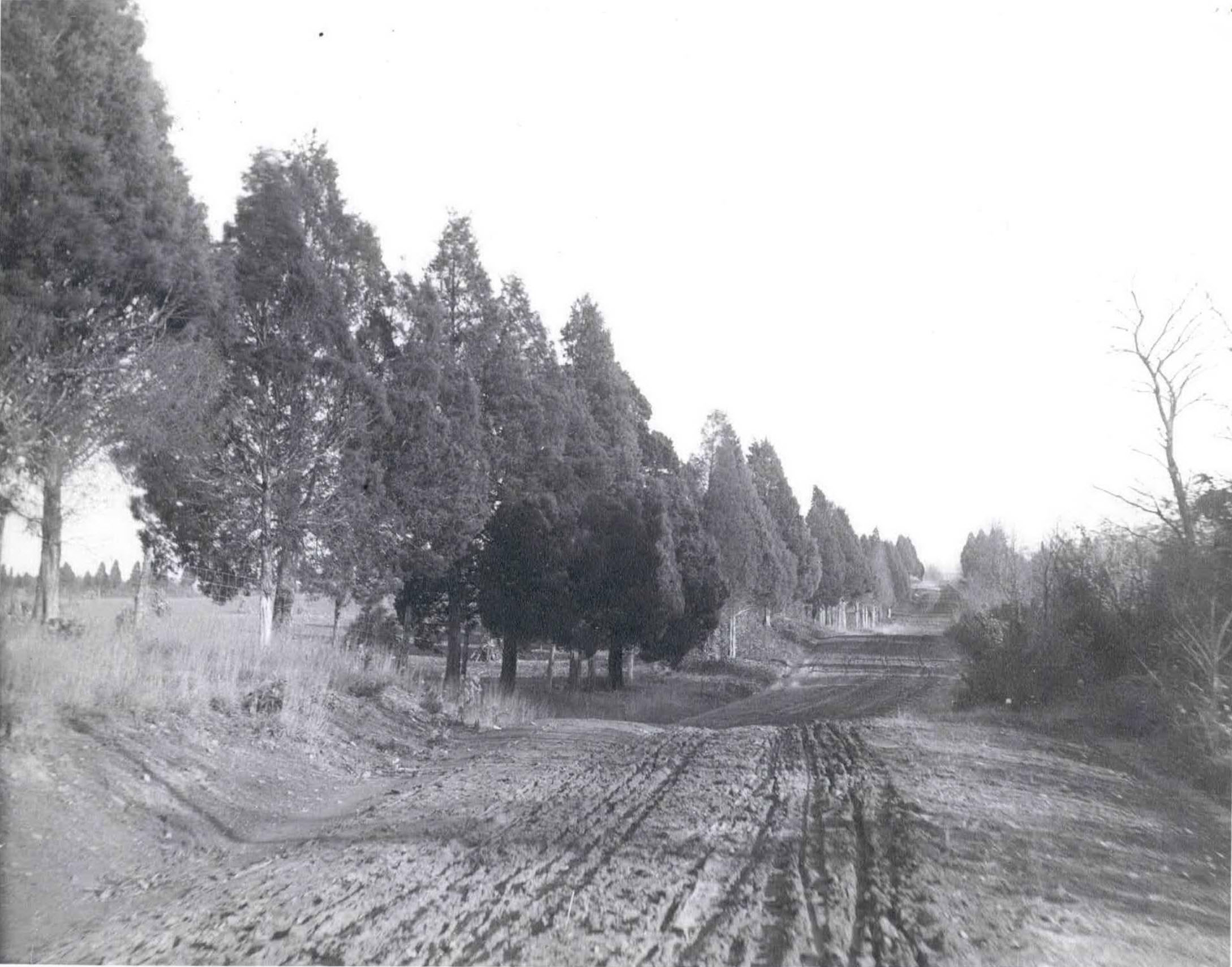 Veirs Mill Road Rockville 1911