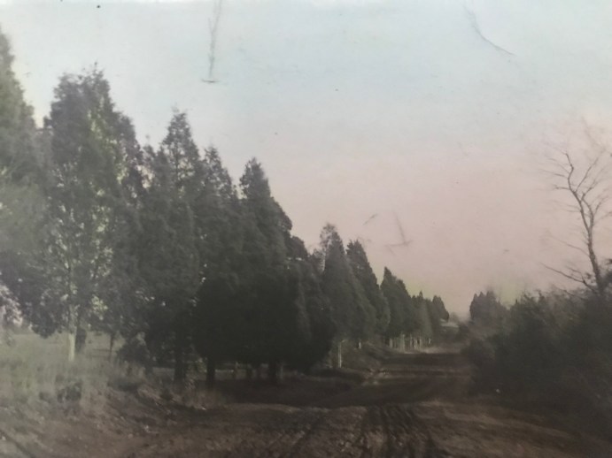 Veirs Mill Road 1911