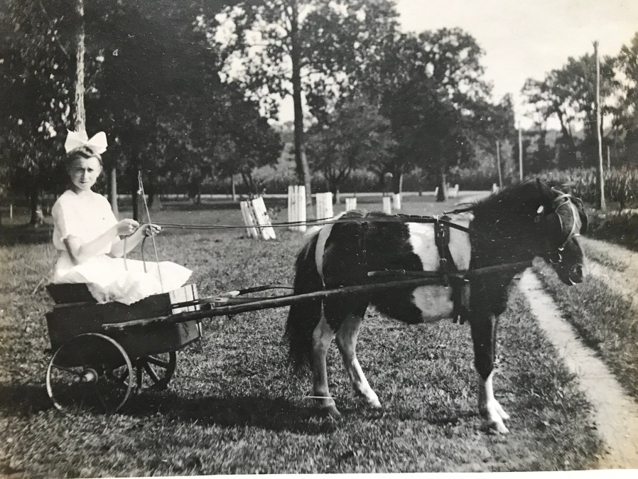 Girl riding in pony cart