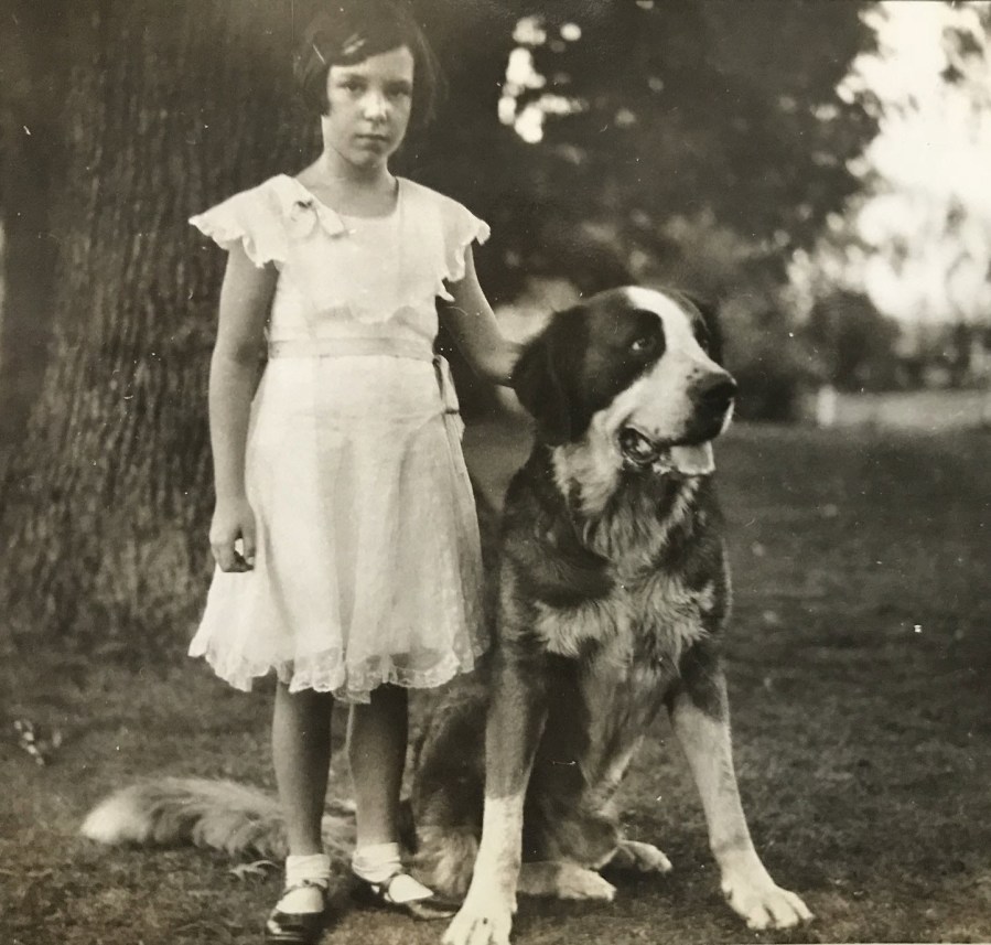 vintage st bernard