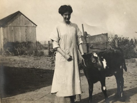 Lady posing with pet cow