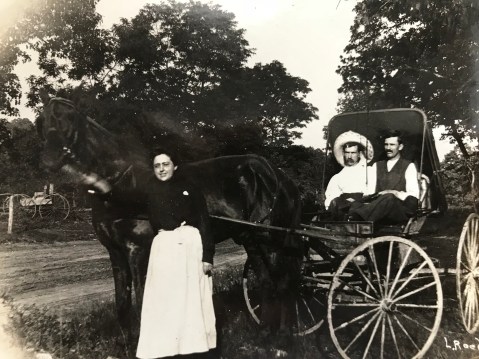 early 20th century horse and buggy