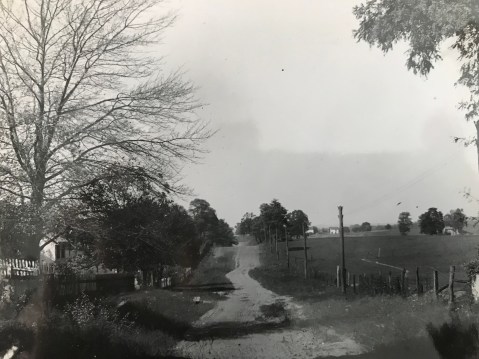Darnestown dirt roads