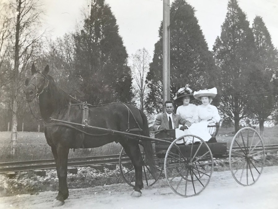 early 20th century horse and buggy