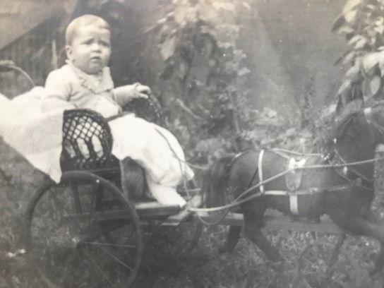 Horse drawn baby carriage