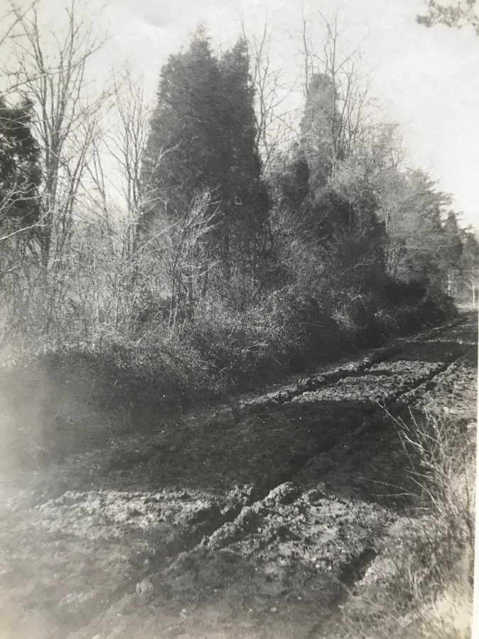 Veirs Mill Road 1911