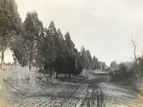 Veirs Mill Road 1911