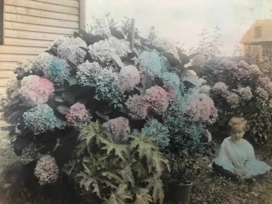 hand-tinted photograph
