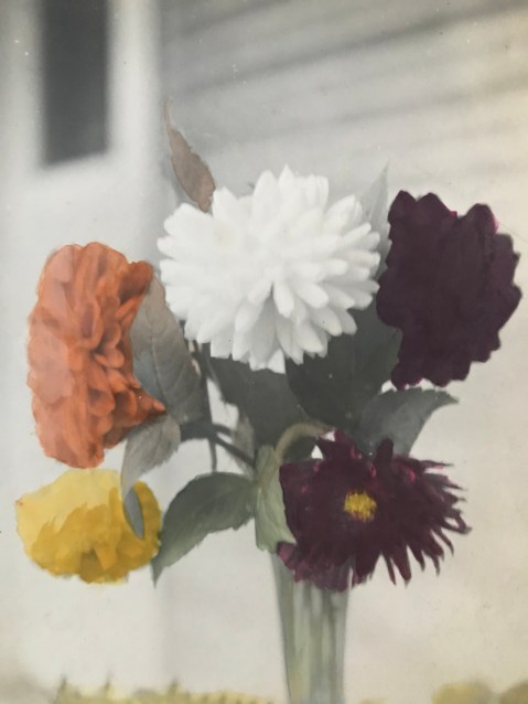 hand-tinted photograph