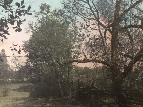 Black Rock Mill hand-tinted photo