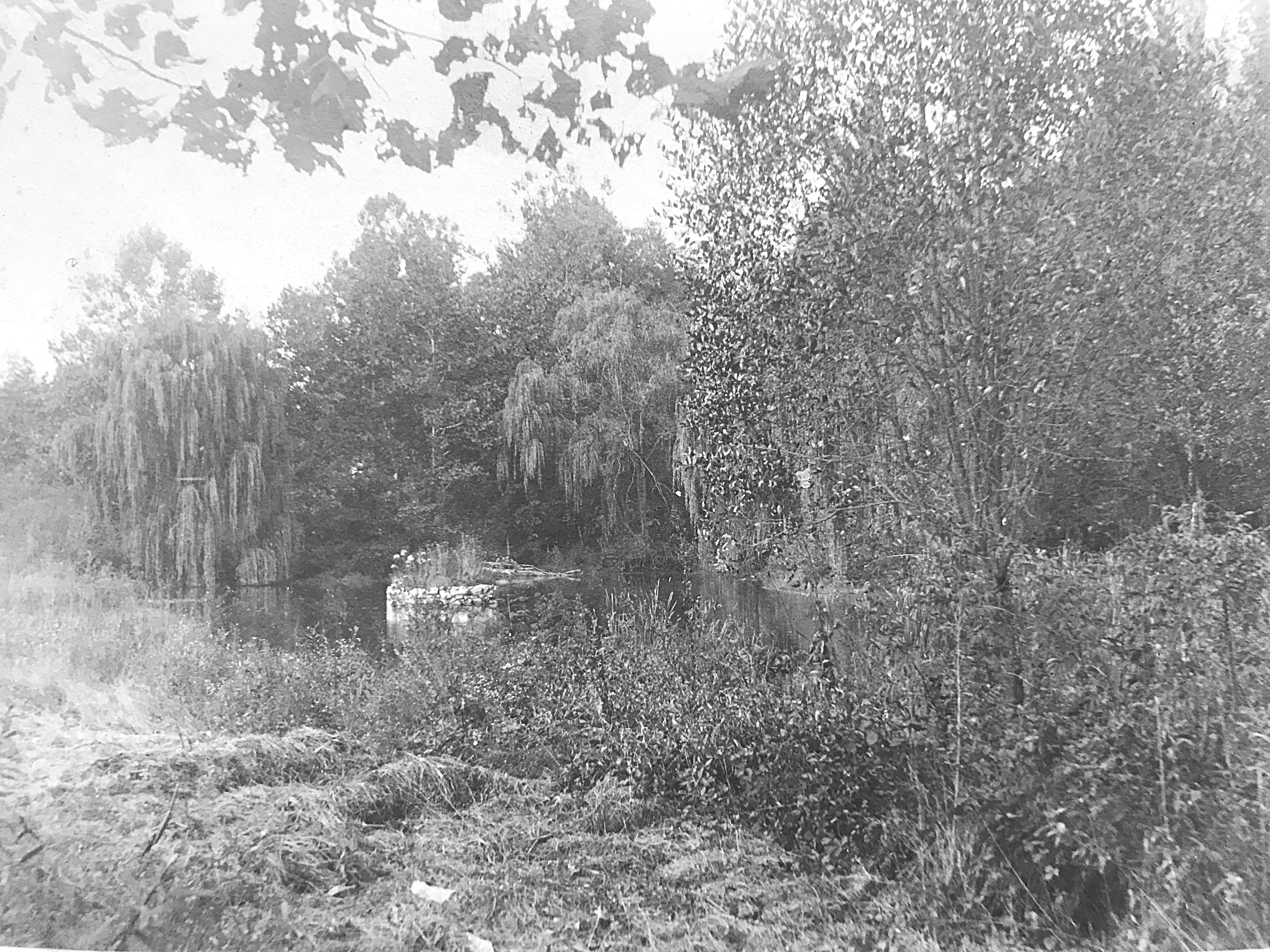 Ice harvesting pond in summer