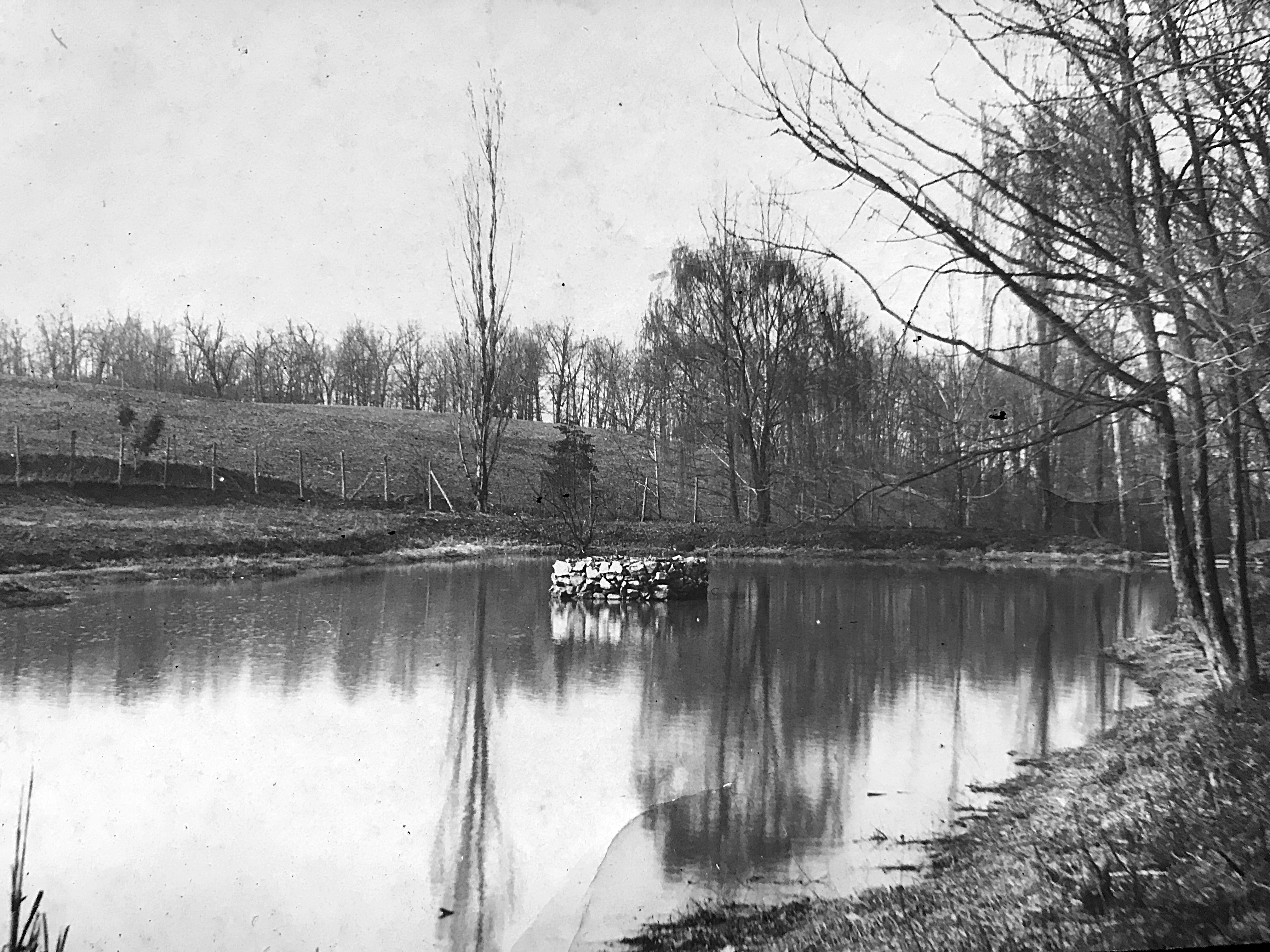 Ice harvesting pond, 1910