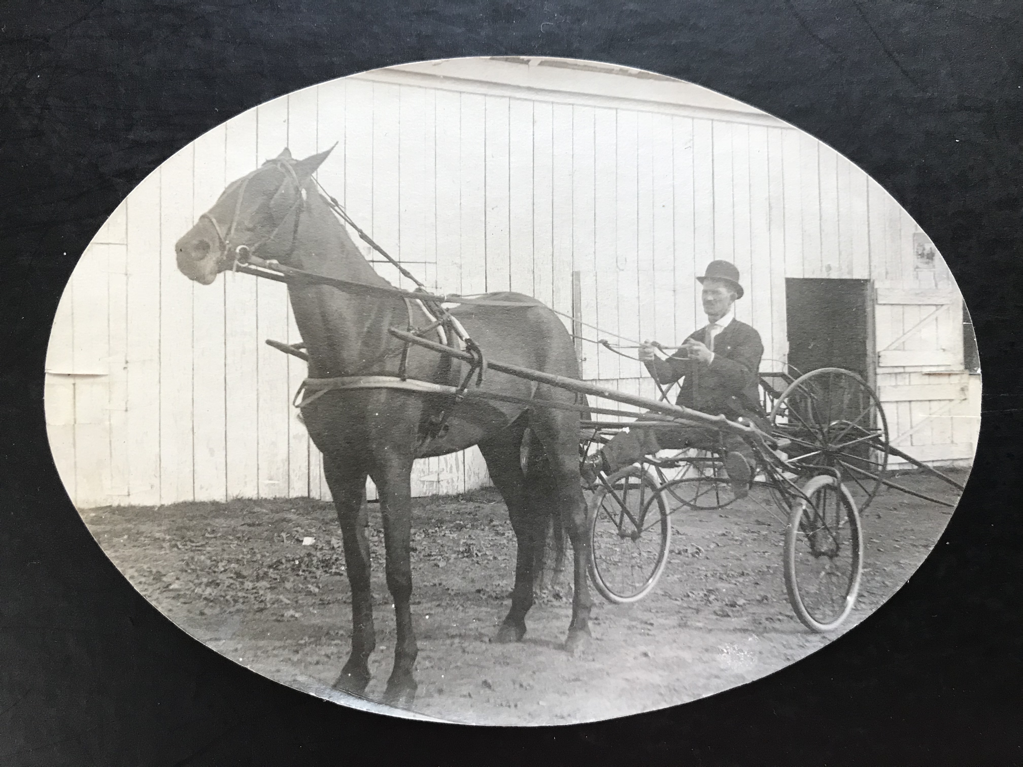 Rockville Fair Sulkie