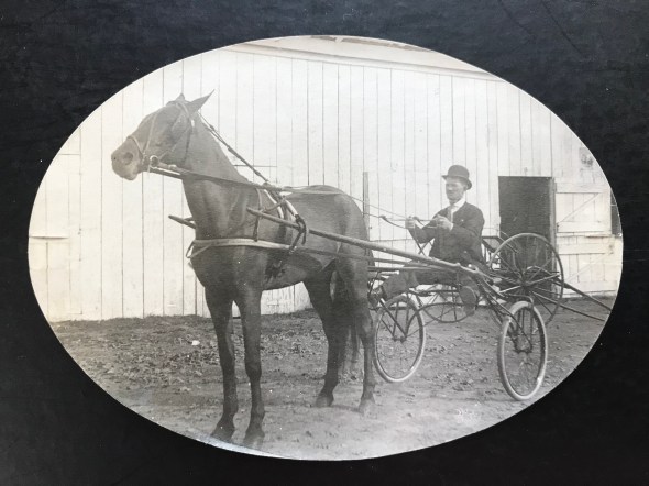 Rockville Fair Sulkie