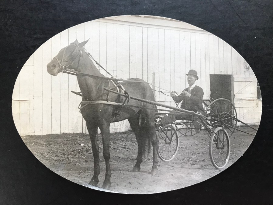 Rockville Fair Sulkie