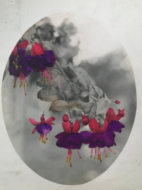 Hand-colored flowers