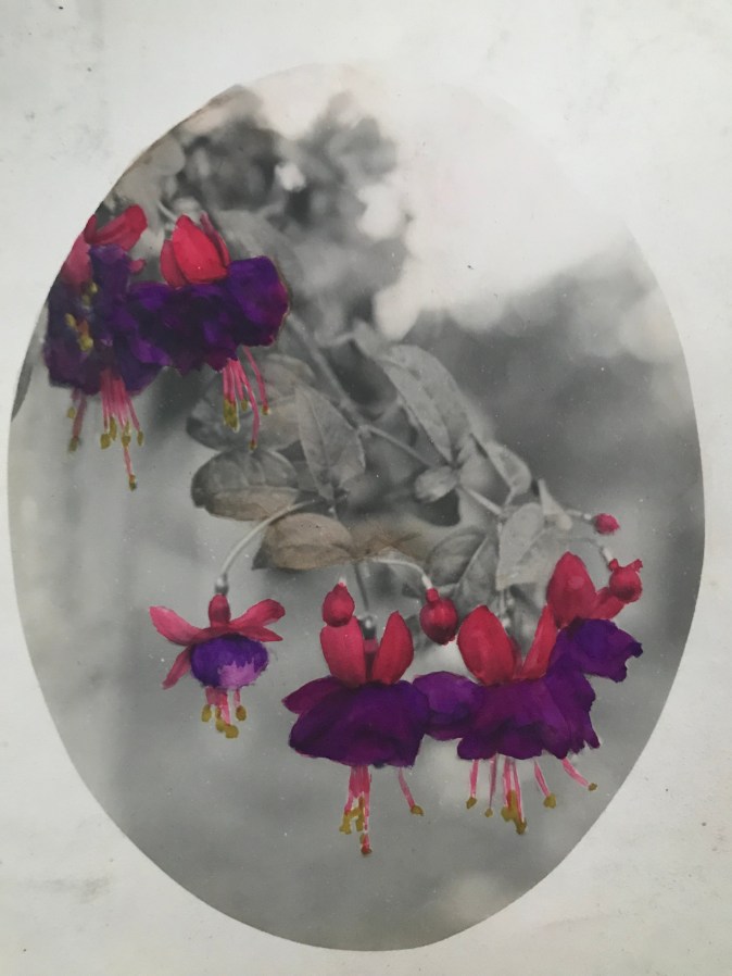 Hand-colored flowers