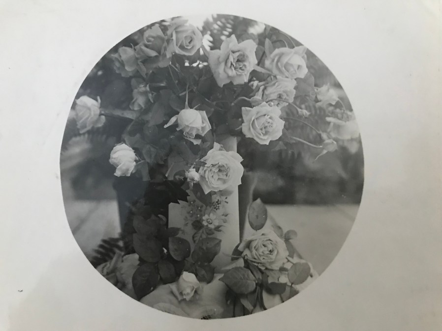 Roses before hand-coloring