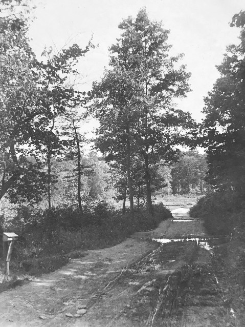View down Cedar Lane in Bethesda, 1911