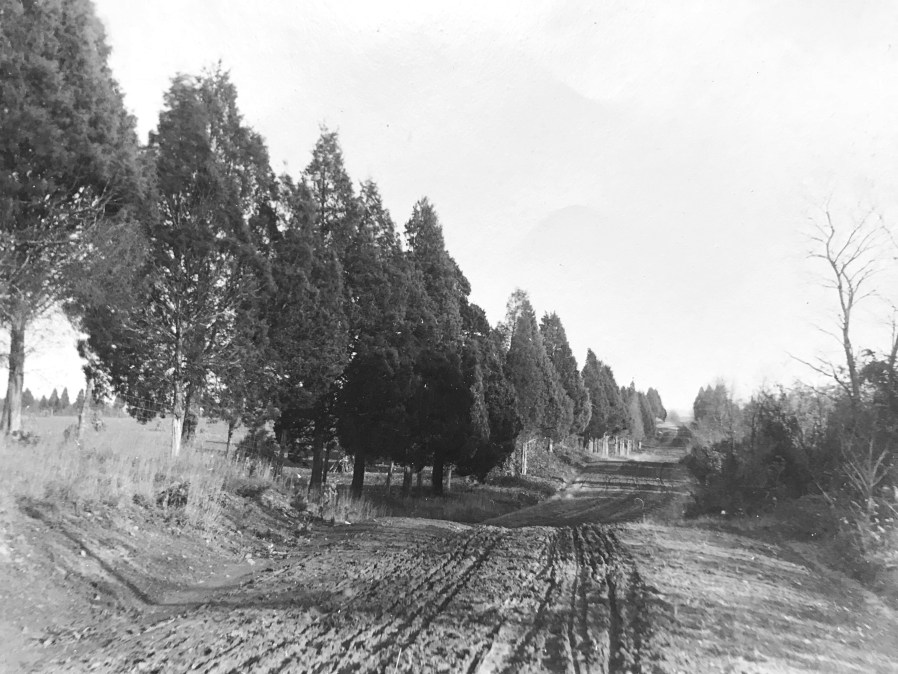 Veirs Mill Road looking east at Cedar Lane prior to paving 1911