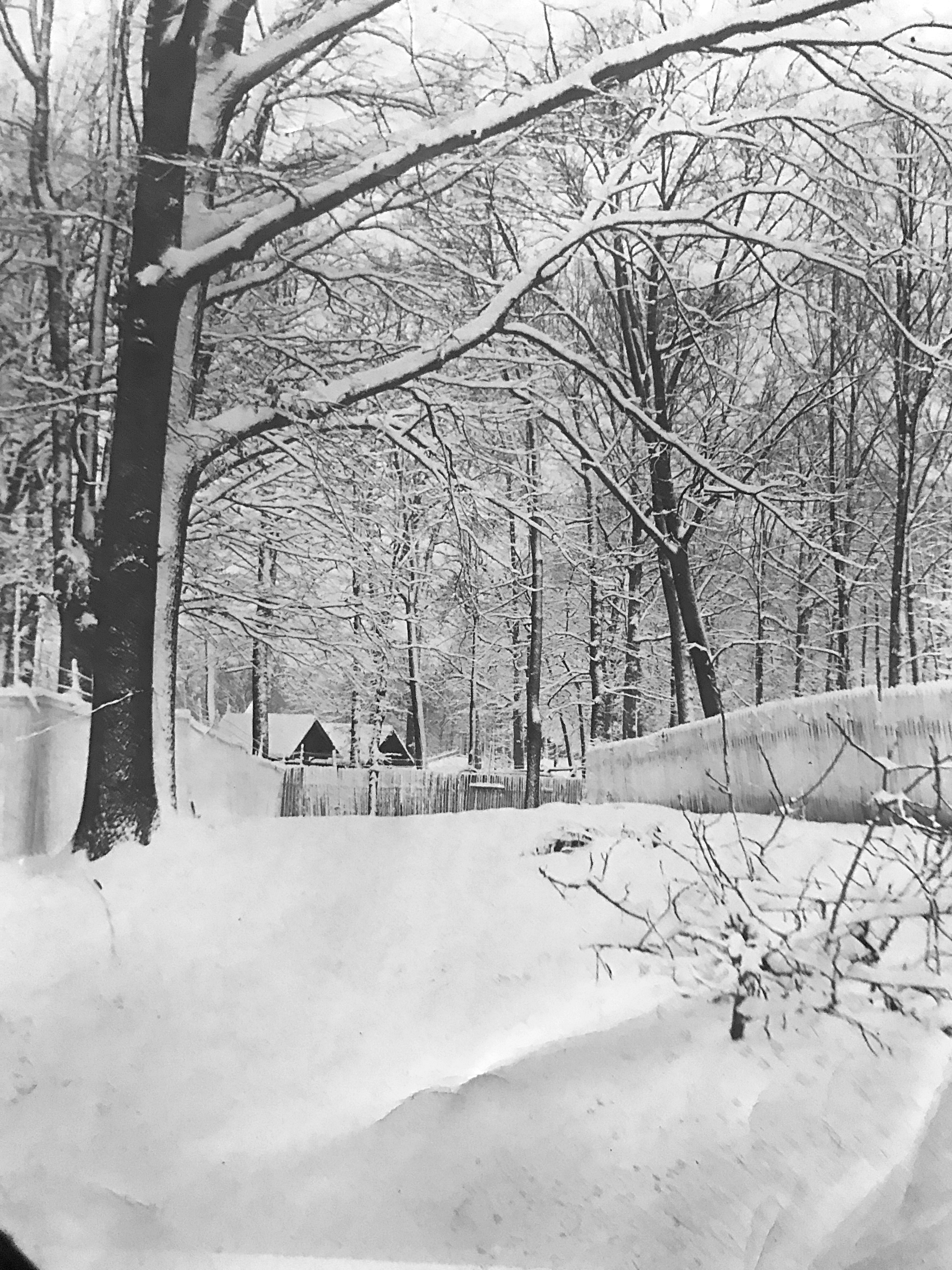Montgomery County Fairgrounds, 1910