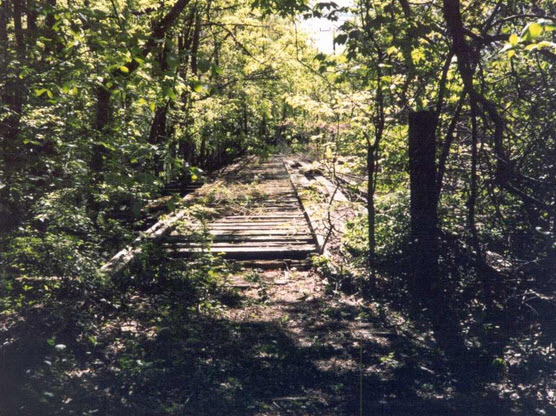 Abandoned trolley tracks off MacArthur Boulevard
