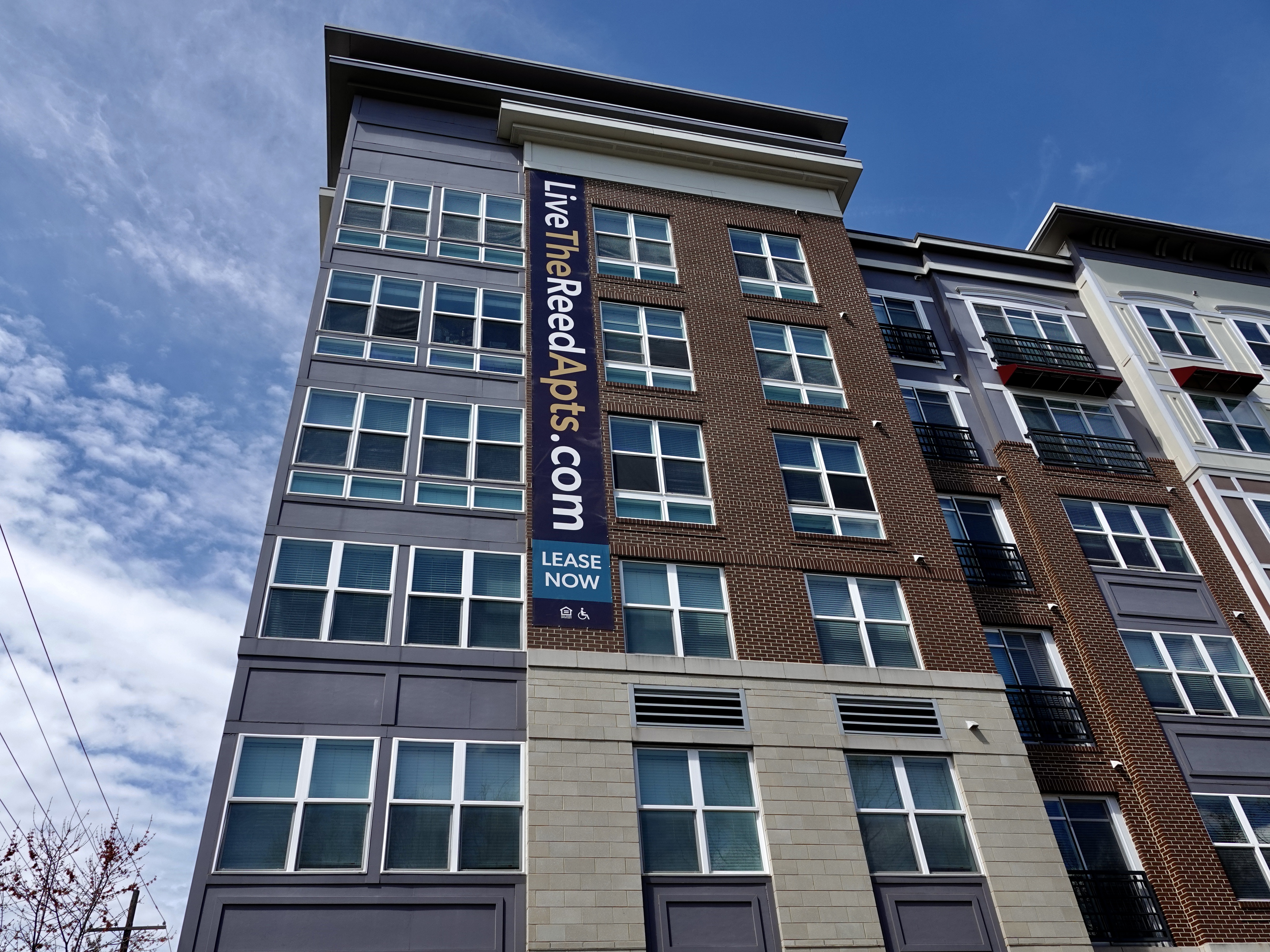 The Reed Shady Grove